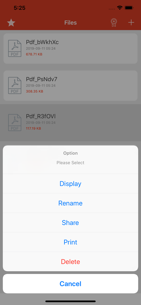 表示、名前変更、共有、印刷、削除オプションが表示された変換済みPDFファイルの管理メニュー