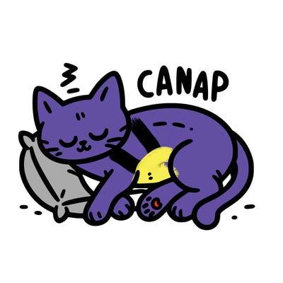 catnap