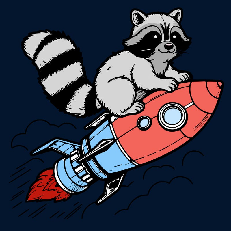 realistic raccoon flying on top rocket ship