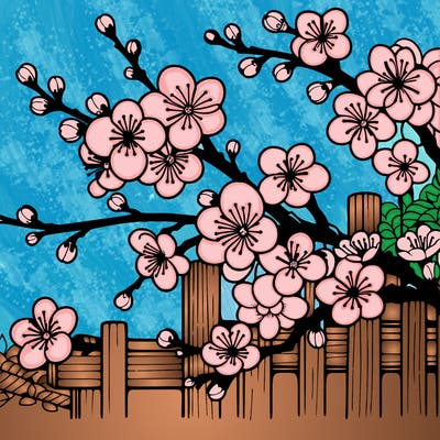 japan cherry blossom