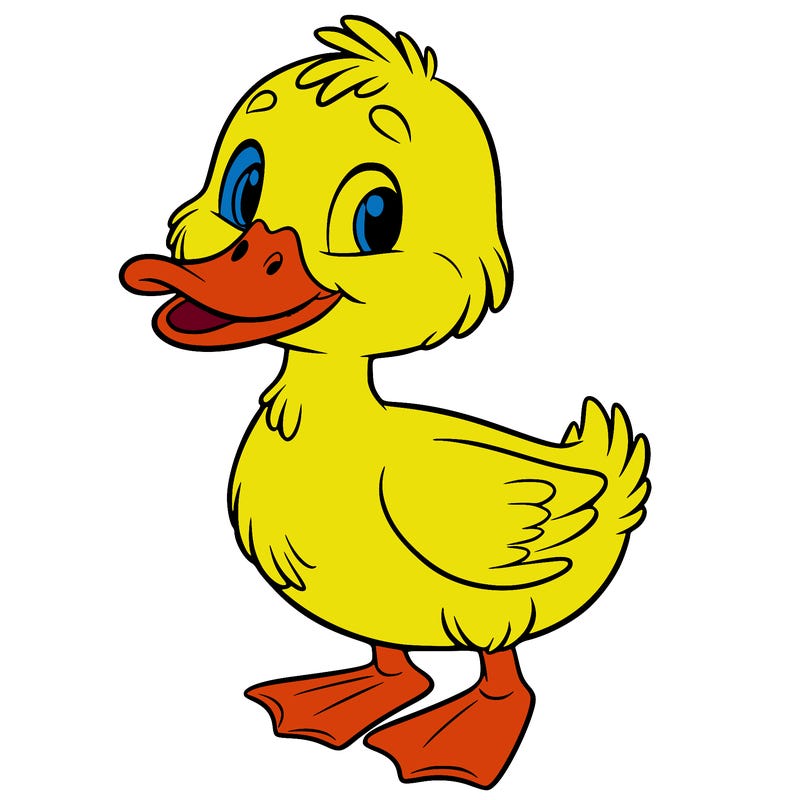 duck