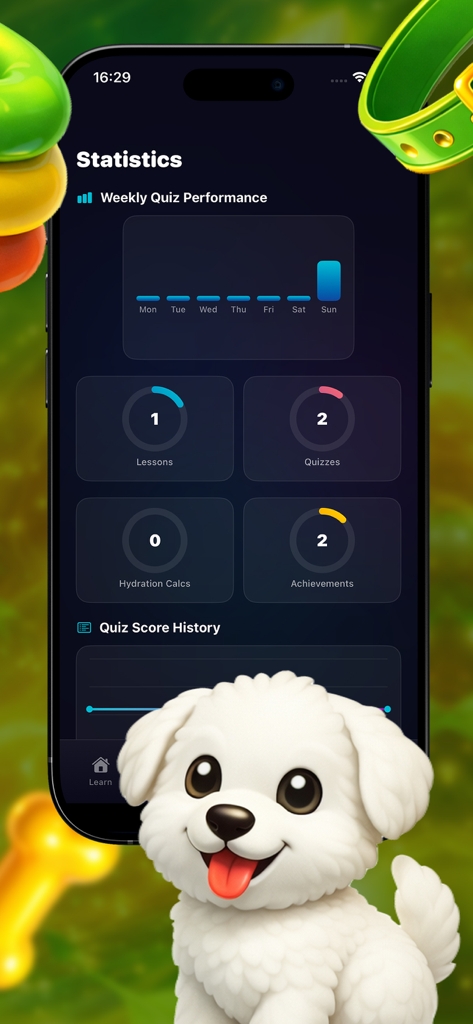 PetRoad-knowledge - Statistics dashboard of the PetRoad-knowledge app showing weekly quiz performance and educational progress.