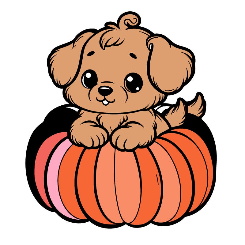 cute little puppy in a pumpkin