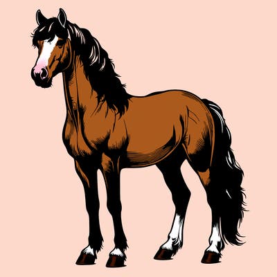 realistic horse