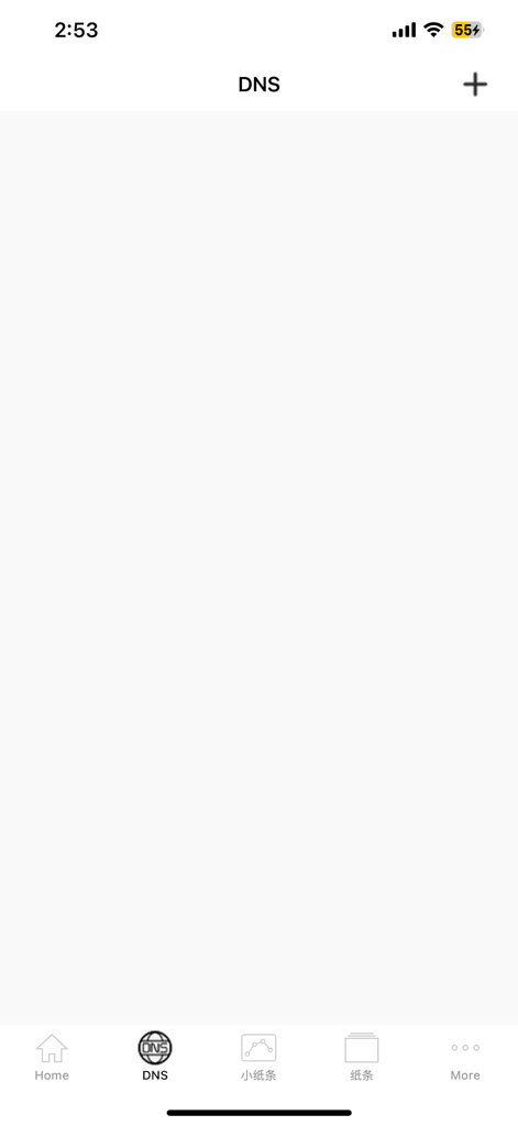 Interfaz de gestión de DNS de la aplicación móvil VPN International Network