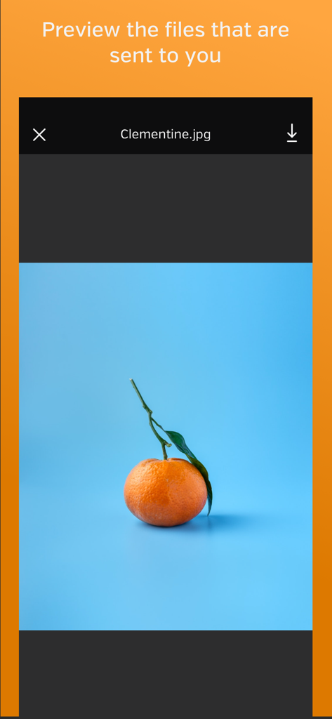 Hightail - A mobile interface of the Hightail app previewing a high-resolution image file named Clementine.jpg.