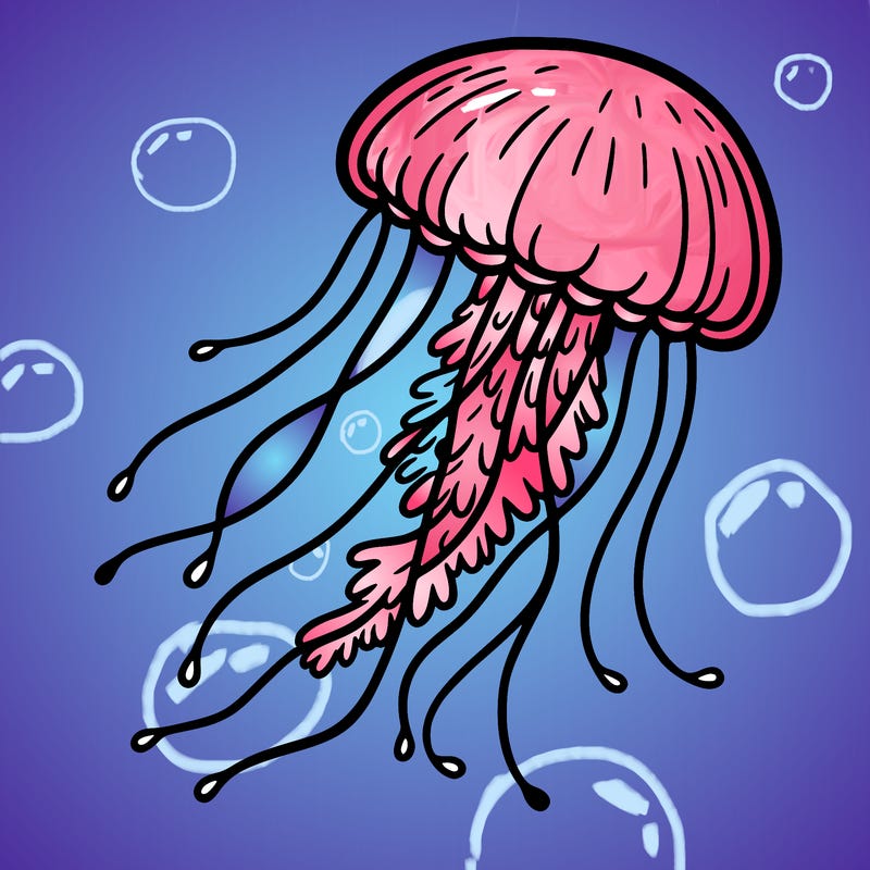jellyfish