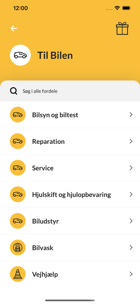 Menu of car services in the Mit FDM app including maintenance and roadside assistance