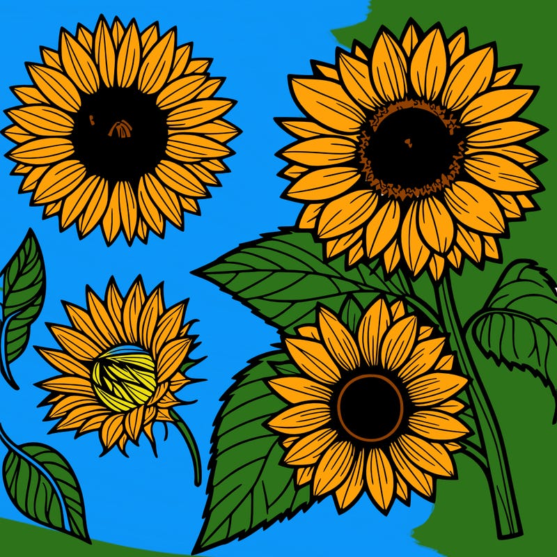 sunflower
