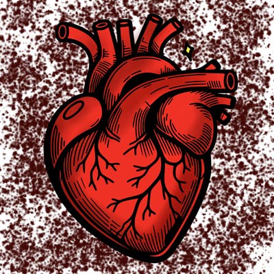realisticl heart