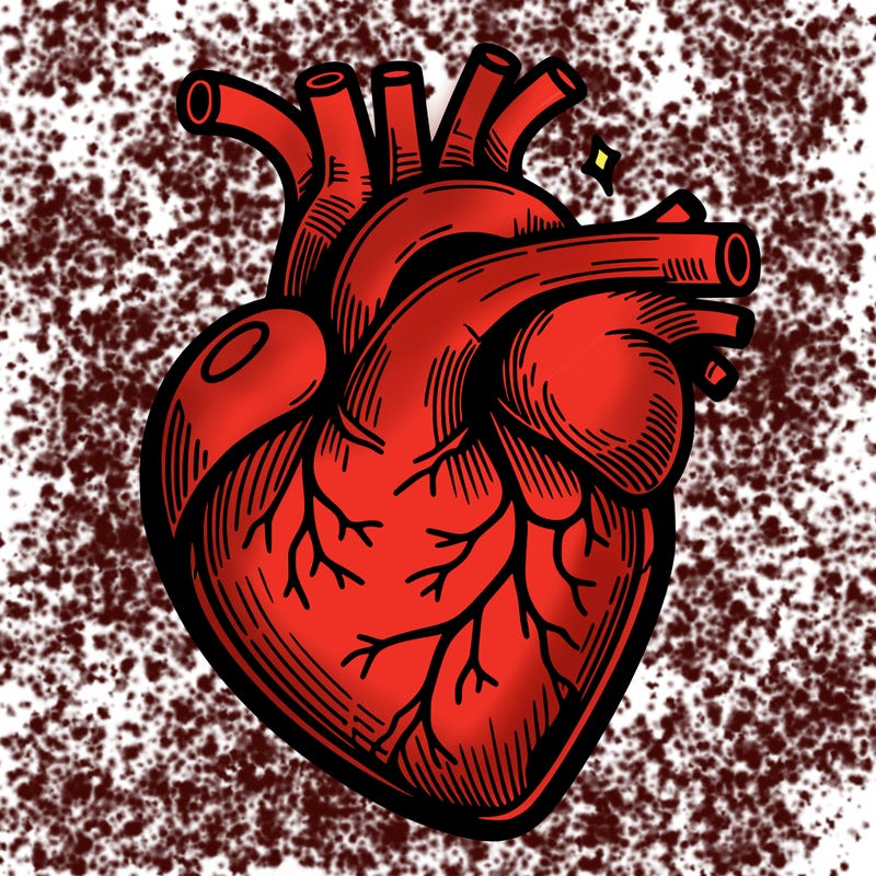 realisticl heart