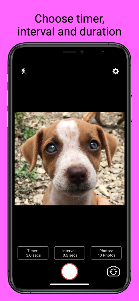 Selfier -Take handsfree photos - Interface of the Selfier app showing customizable timer, interval, and photo count settings for hands-free photography