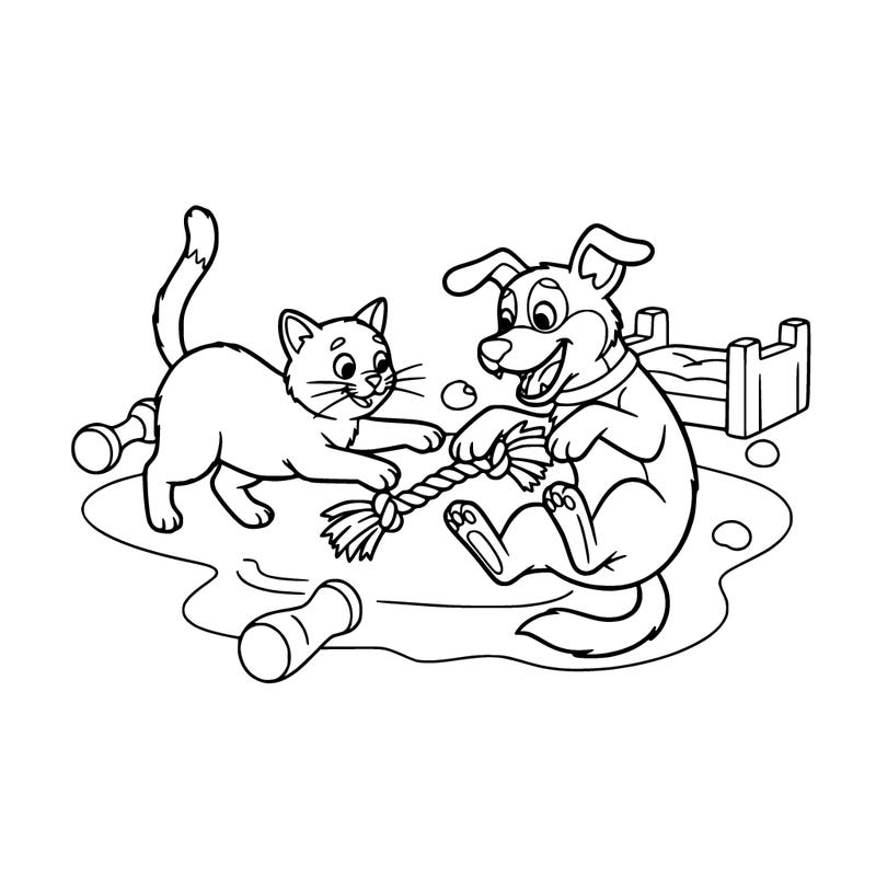 a cat and a dog playing