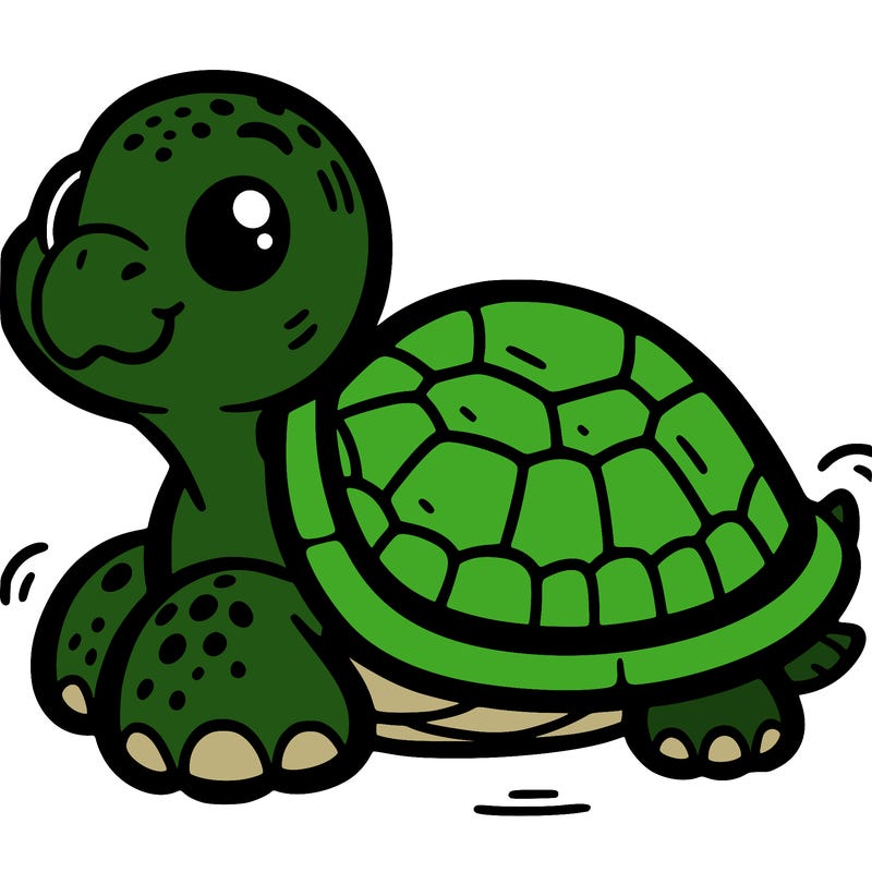 turtle