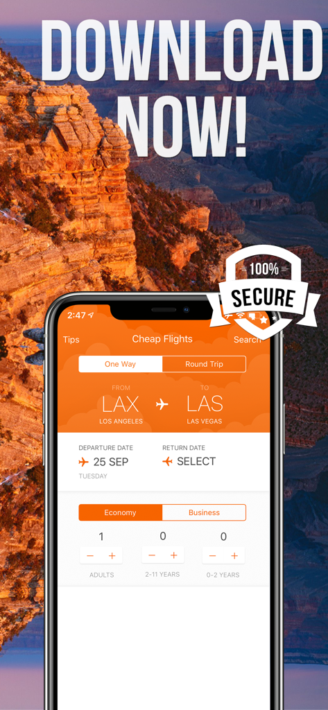 Booking Cheap Flight Tickets - A smartphone screen displaying the flight search interface of the Booking Cheap Flight Tickets app over a canyon background.