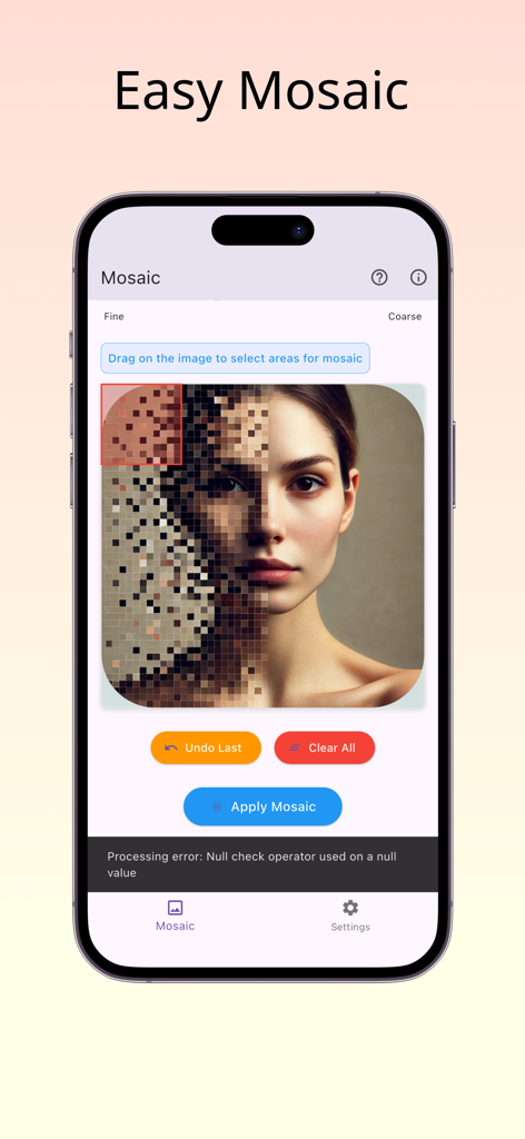 Mosaic - Mosaic Photo Editor - Mosaic app interface showing a pixelated blur effect on a photo for privacy