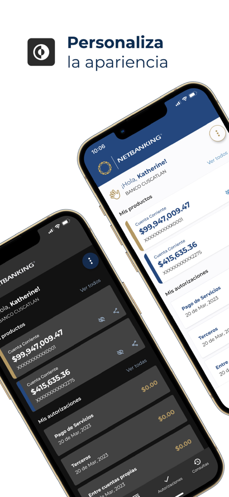 NetBanking app dashboard showing light and dark mode customization options on two mobile devices.