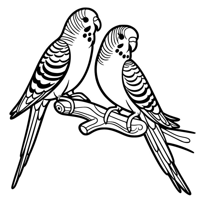 parakeets