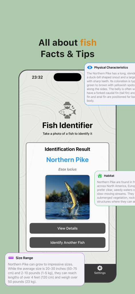 Fish Identifier & Fish Finder - Aplicativo Identificador de Peixes mostrando resultados de identificação e fatos sobre espécies de um Lúcioperca.