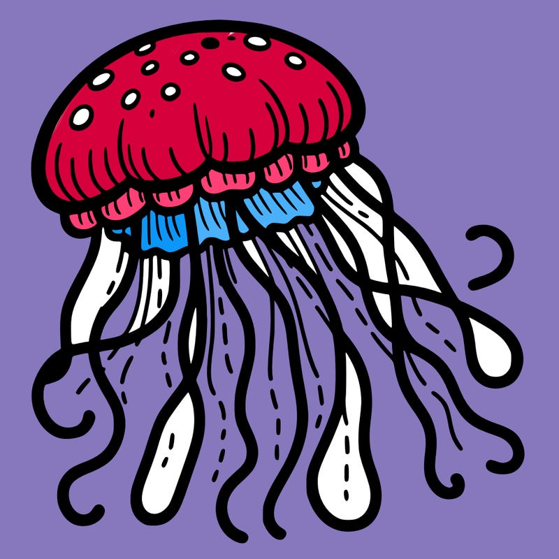 jellyfish