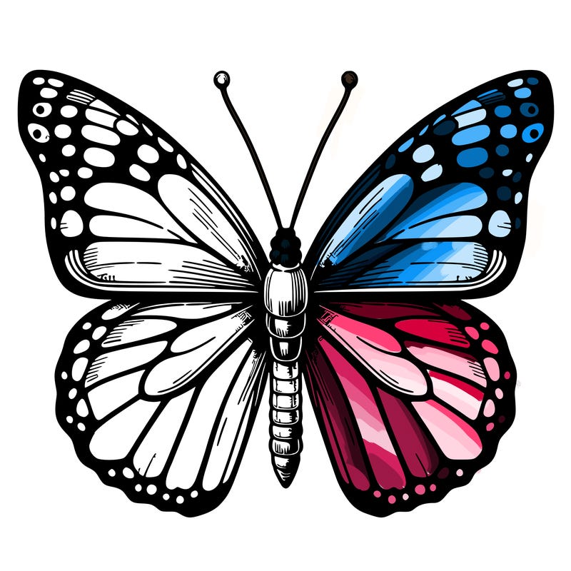 realistic butterfly