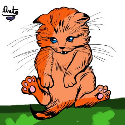 animals_20