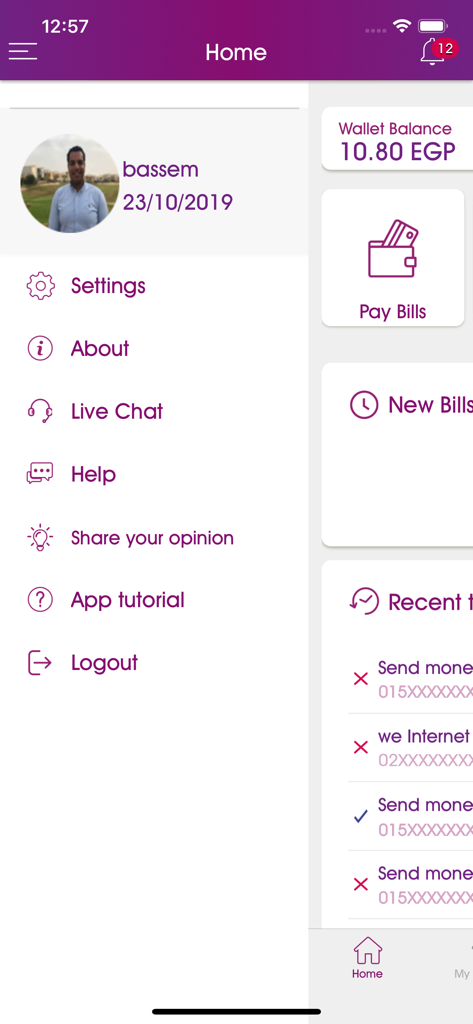 WE Pay EG - WE Pay EG app home screen showing wallet balance in EGP and bill payment options