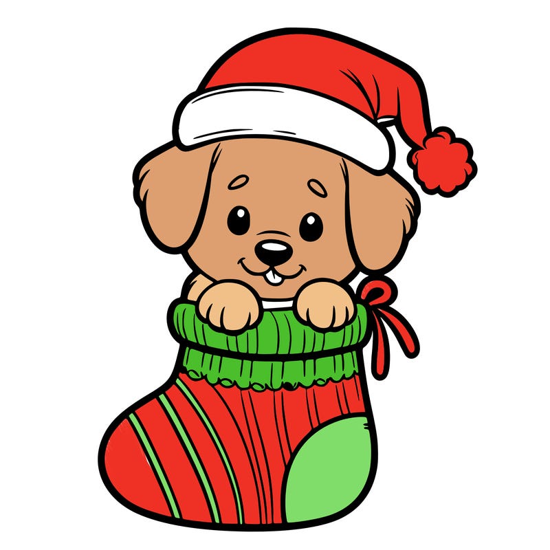 cute puppy wearing santa hat in socking