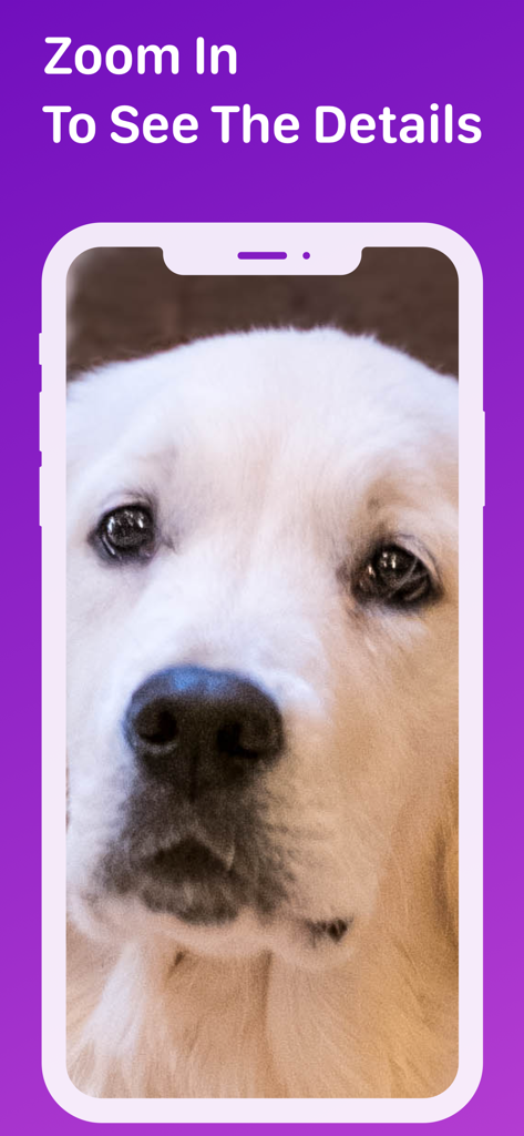 Pet Monitor VIGI - Close-up of a dog's face on the Pet Monitor VIGI app demonstrating the zoom function
