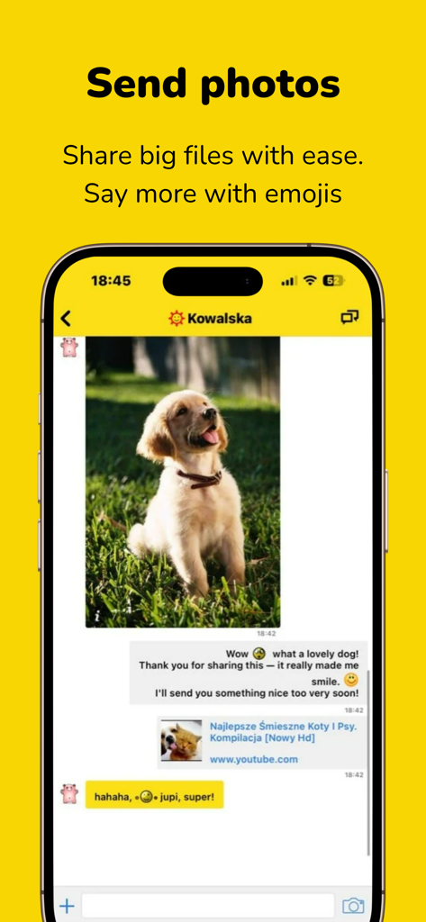 GG - Screenshot of the GG messenger app showing a chat window with a shared photo of a puppy and emoji reactions.