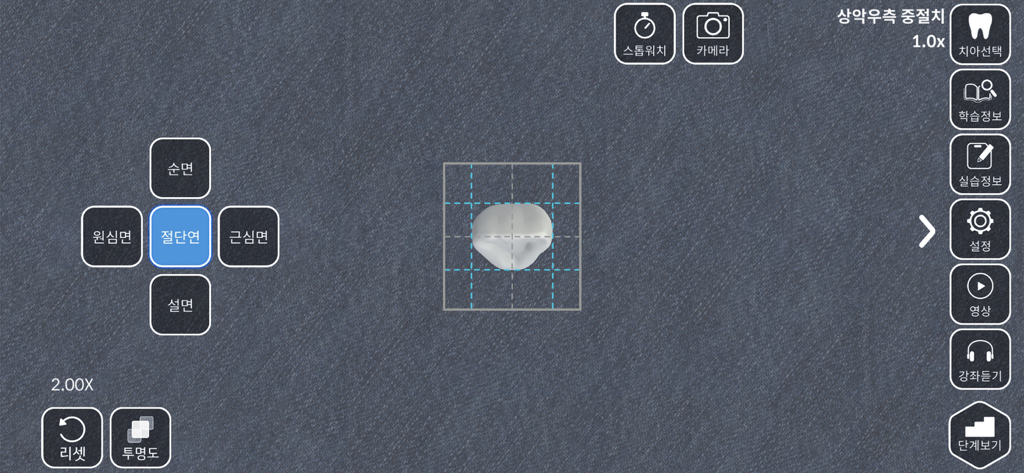 AR-D Morphology - AR-D Morphology app interface featuring a 3D tooth model with navigation and study controls