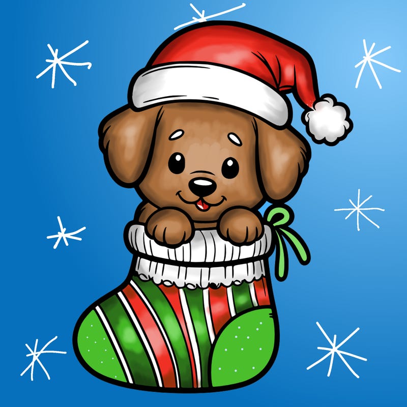 cute puppy wearing santa hat in socking