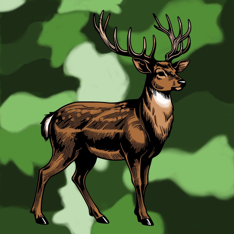 realistic deer