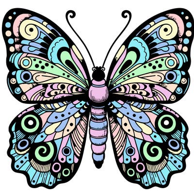 detailed big butterfly