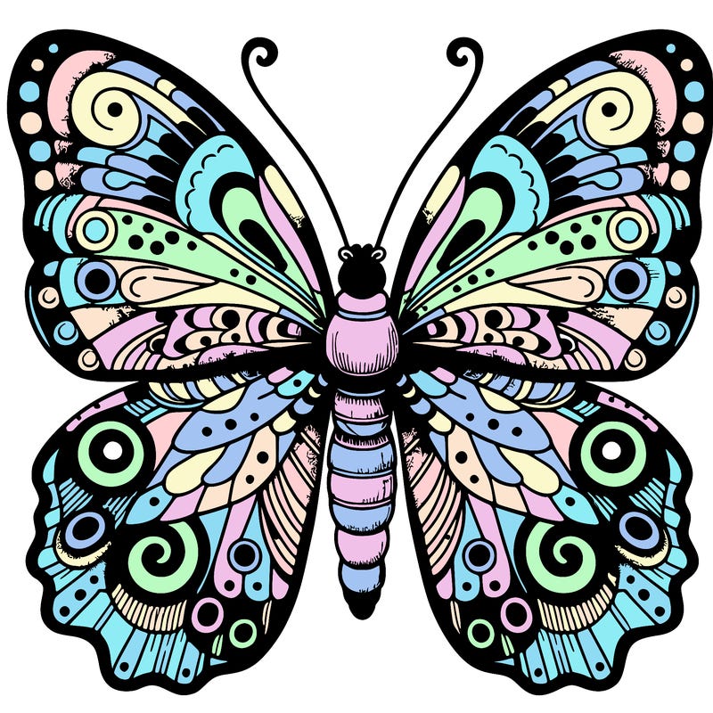 detailed big butterfly