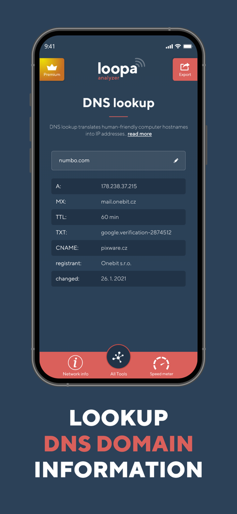 Network Analyzer Master: Loopa - Capture d'écran de l'application Loopa montrant la fonctionnalité de recherche DNS avec les enregistrements de domaine détaillés pour un site Web
