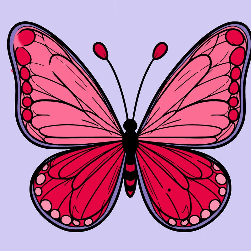 white background, a butterfly with transparent wings, pencil line drawing