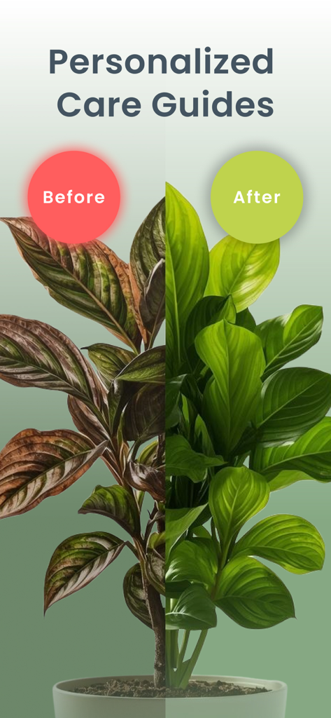 Plant Disease Identifier Bio - Comparación visual que muestra una planta marrón moribunda antes del tratamiento y una planta verde vibrante y saludable después de usar guías de cuidado personalizadas