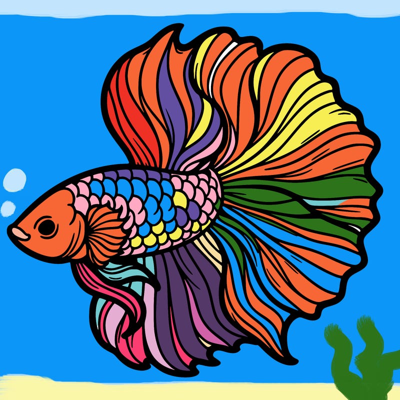 betta fish