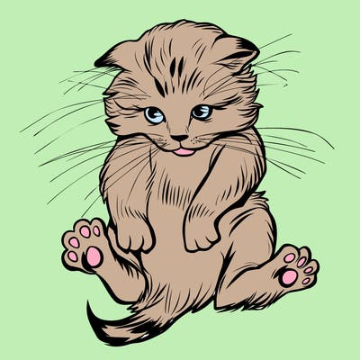 animals_20