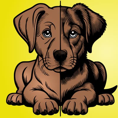 realistic dog split picture