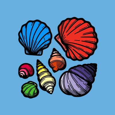 shells
