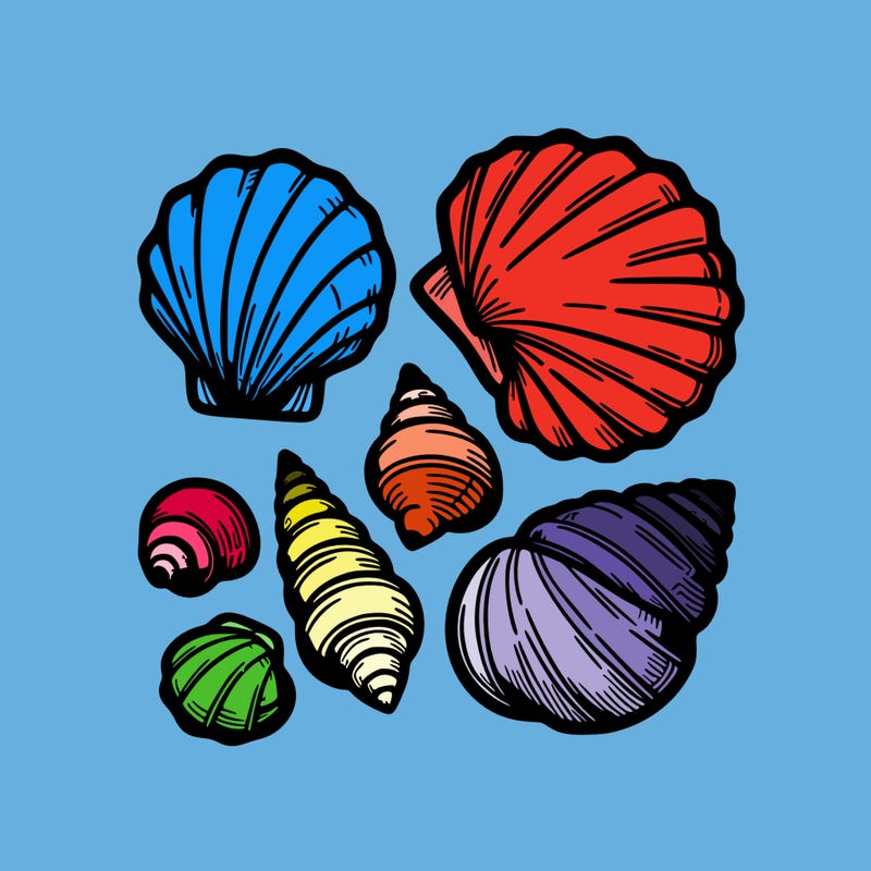 shells