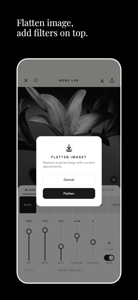 Mono Lab - Mono Lab app interface showing the flatten image feature to stack monochromatic filters on a floral photo.