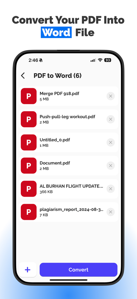 PDF to Document Convert - Mobile app interface showing a list of PDF files and a convert button for transforming documents into Word format