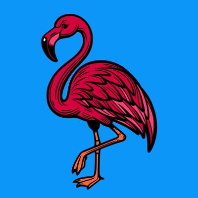 flamingo