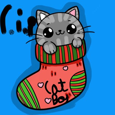cute cat in a sock