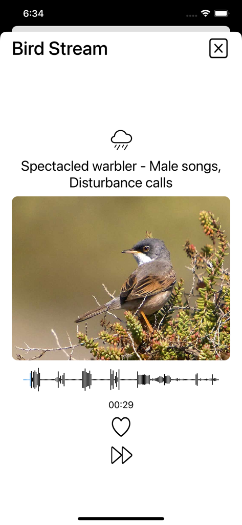 Birds of Europe - Field Guide - Interfaz que muestra la reproducción del canto de un carricerín cejudo con una forma de onda de audio