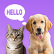 Pet Talk Translator