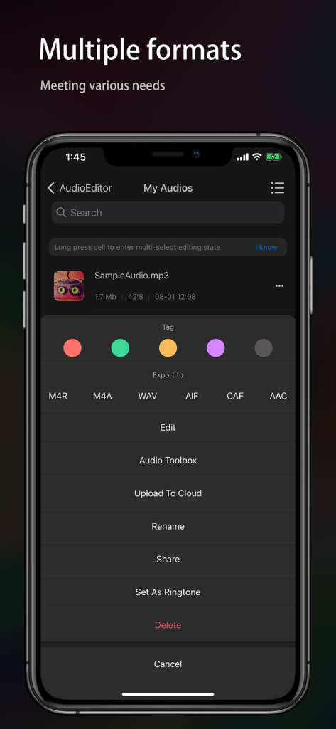 Audio Editor - Music editor - Audio Editor app interface showing multiple export formats and file management options